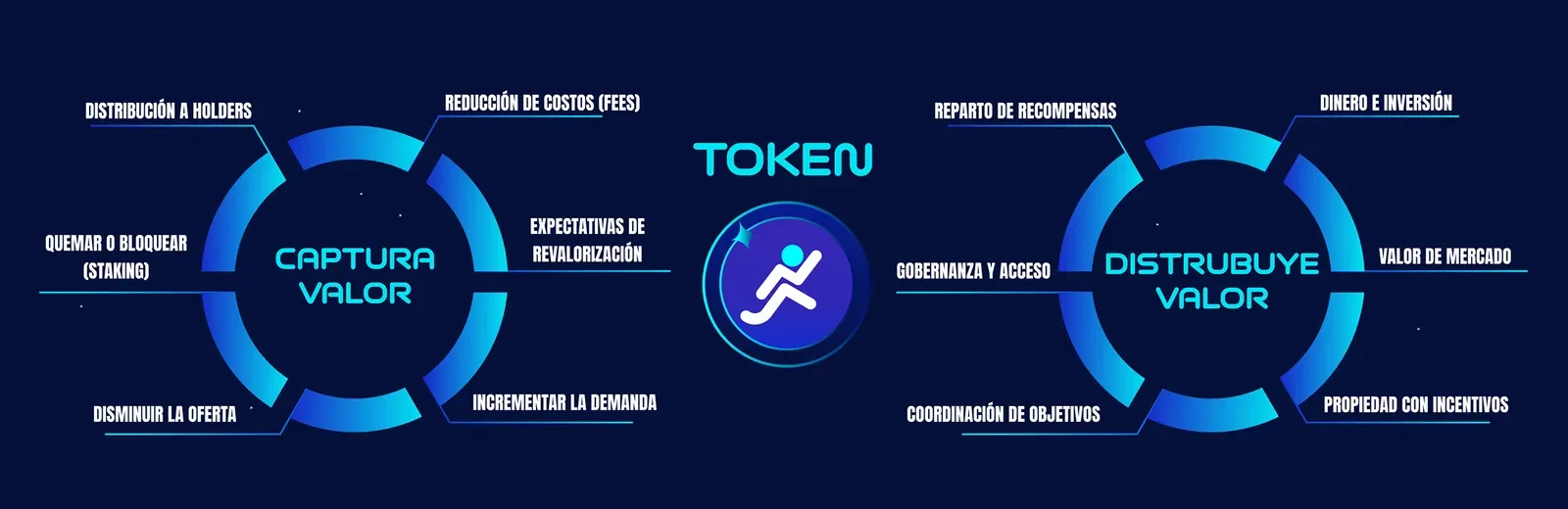 Diagrama de un token con dos ruedas: a la izquierda cómo captura valor (quemar o bloquear en staking, disminuir la oferta, incrementar la demanda, reducir fees) y a la derecha cómo distribuye valor (recompensas, gobernanza y acceso, propiedad con incentivos)